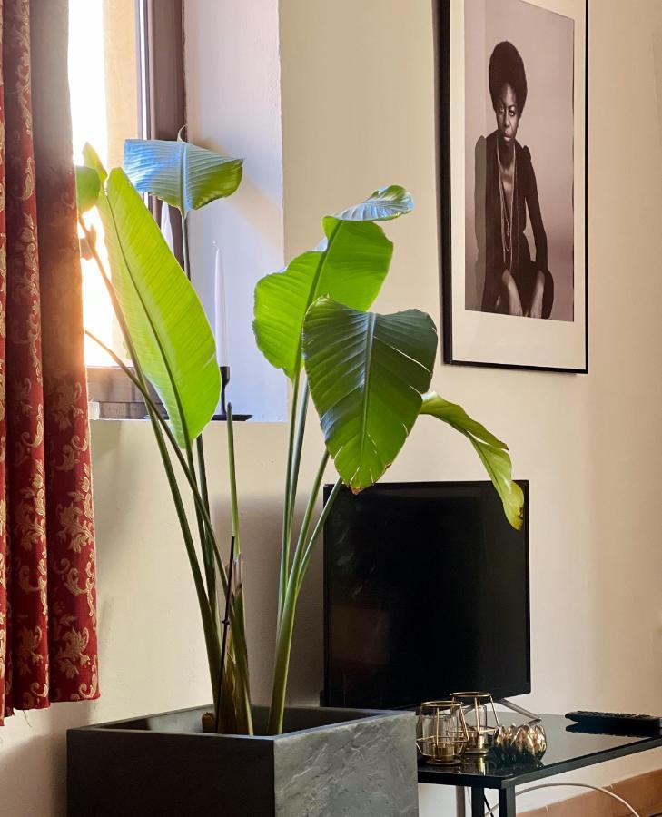 Novi Ligure Private Apartment Dış mekan fotoğraf
