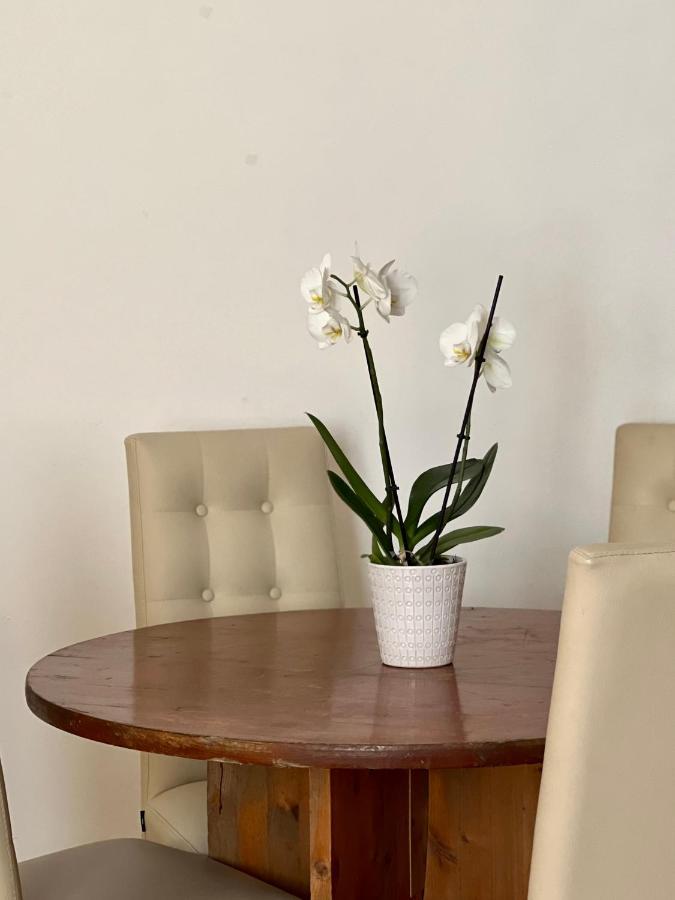 Novi Ligure Private Apartment Dış mekan fotoğraf